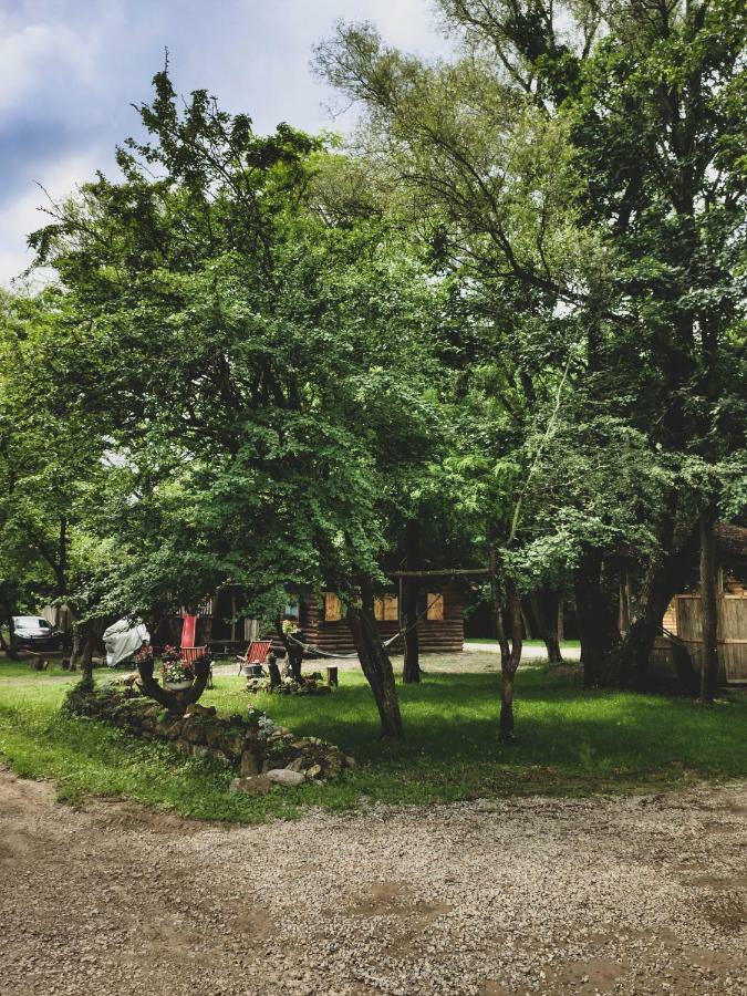 Vackorkert Apartment Sirok Екстериор снимка